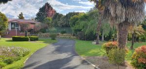 a driveway leading to a house with a palm tree at Maple Lodge Motel in Matamata