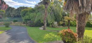 a garden with a tree and a walkway at Maple Lodge Motel in Matamata