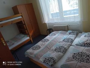 Giường trong phòng chung tại Penzion Modřanka