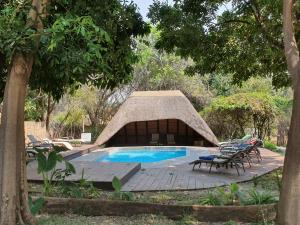 a backyard with a swimming pool and a gazebo at Namushasha River Camping2Go in Kongola