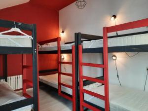two bunk beds in a room with red walls at Academy of Hostel in Kostroma