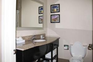 a bathroom with a sink and a toilet and a mirror at Comfort Inn & Suites Fultondale Gardendale I-65 in Fultondale