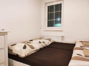 圣科维斯Apartmány pod sjezdovkou的带床和窗户的卧室