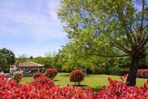 Zahrada ubytování Beautiful villa Morena with private swimming pool near Poreč