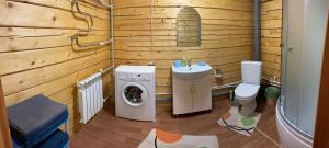 シェレゲシュにあるChalet on Svobodnaya streetのバスルーム(洗濯機、トイレ、シンク付)