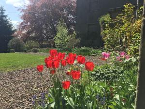 a group of red flowers in a garden at Swinton Manse & Gardens in Swinton