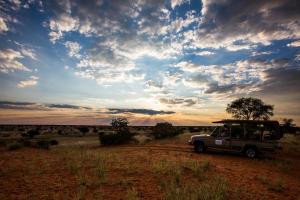 Una jeep che guida su una strada sterrata nel deserto. di Kalahari Anib Camping2Go a Mariental