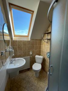 a bathroom with a toilet and a sink and a window at Útulna Craft - penzion Veronika in Pec pod Sněžkou