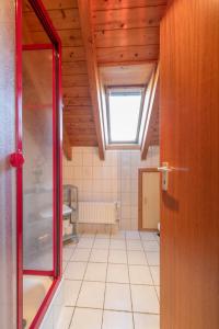 a bathroom with a shower and a window in a room at FeWo Immenstaad 2 in Immenstaad am Bodensee +17 photos