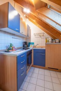 a kitchen with blue cabinets and blue appliances at FeWo Immenstaad 2 in Immenstaad am Bodensee