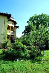 Afbeelding uit fotogalerij van Pensiunea Cassandra in Tîrgu Neamţ +28 foto's