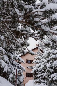 pinos nevados frente a un edificio en Planinska kuća Munika, en Risovac