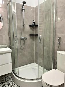 a bathroom with a shower and a toilet at Glorious Apartment Near The Old City in Lviv
