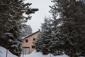 un grupo de árboles en la nieve junto a una casa en Planinska kuća Munika, en Risovac