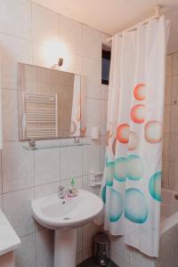 Un baño con lavabo y cortina de ducha. en Planinska kuća Munika, en Risovac