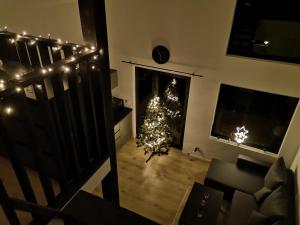 Setusvæði á Cozy House