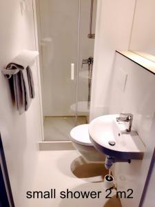 uma pequena casa de banho com lavatório e WC em Le Cénacle em Genebra