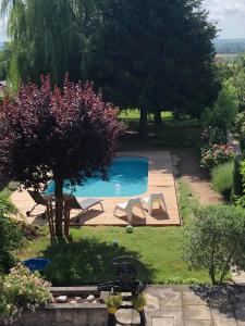 uma piscina num quintal com uma árvore em Les Laurentides em Athée