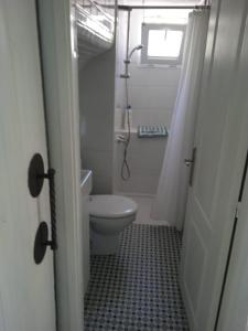 ein Bad mit einem WC, einer Dusche und einem Fenster in der Unterkunft Apartamento Trini in La Jaca
