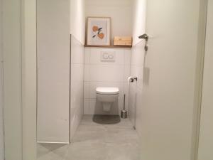 a white bathroom with a toilet and a shelf at Ferienwohnung Rotes Haus in Schnaittach