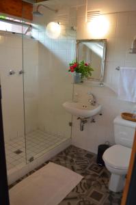 a bathroom with a shower and a toilet and a sink at The Red Wine Cottage in Stellenbosch +15 photos
