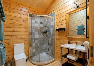 a bathroom with a shower and a toilet and a sink at Estudios Galende in Galende