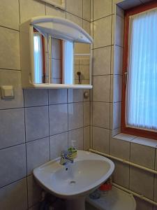 ein Badezimmer mit einem weißen Waschbecken und einem Spiegel in der Unterkunft Vikend kuca Bela Reka in Brzeće