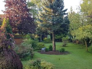 Zahrada ubytování Ferienwohnungen zur Stadtmauer