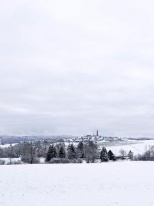 Ferienwohnungen zur Stadtmauer v zimě
