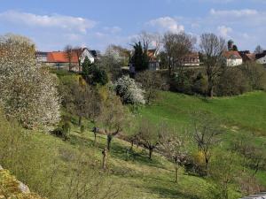 Příroda nedaleko apartmánu