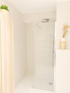 uma casa de banho com um chuveiro e uma porta de vidro em HOSSEGOR Plage & Golf em Hossegor