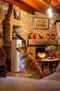 um cão sentado numa sala de estar com lareira em Posada La Herradura em Liermo