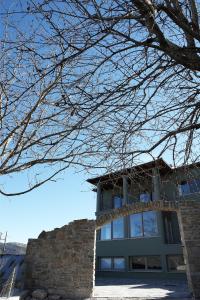 a building with a tree branch in front of it at Art Hotel Mirtali in Dodoni