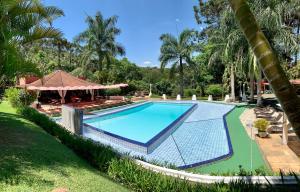 a swimming pool in a yard with palm trees at Pousada Serra das Araucárias in São Roque