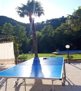 una mesa de ping pong azul con una palmera en el fondo en La Meridiana, en Frontone