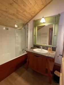 un bagno con lavandino, doccia e specchio di Duplex - 4 personnes ARC 1950 ad Arc 1950