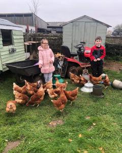 a boy and a girl standing next to a group of chickens at Rew Farm Country & Equestrian Accommodation - Sunrise Lodge in Melksham