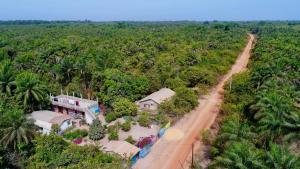 an aerial view of a house in the middle of a forest at Chez Yaya - Grande Chambre in Oussouye