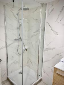 una ducha con puerta de cristal en un baño en Le Cocon Petite France, en Estrasburgo