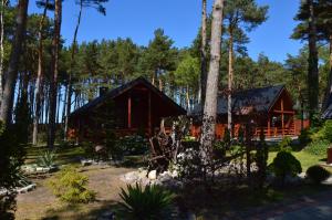 una cabaña de madera en el bosque con árboles en Domki Pod Wydmami 40m od plaży en Dźwirzyno
