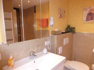 ein Badezimmer mit einem Waschbecken, einem WC und einem Spiegel in der Unterkunft Birnbaumhof - Hotel Pension und Ferienwohnungen in Schwedelbach