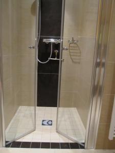 y baño con ducha y puerta de cristal. en Birnbaumhof - Hotel Pension und Ferienwohnungen, en Schwedelbach