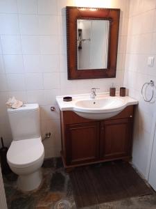 a bathroom with a toilet and a sink and a mirror at Calma in Perdika
