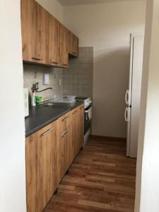 Malý apartmán na Šumavě tesisinde mutfak veya mini mutfak