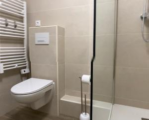 a bathroom with a toilet and a shower at Large beautiful studio near the NEGRESCO HOTEL in Nice +18 photos