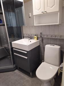 Ein Badezimmer in der Unterkunft Kaukajärven Joutsen - valoisa ja tilava kaksio