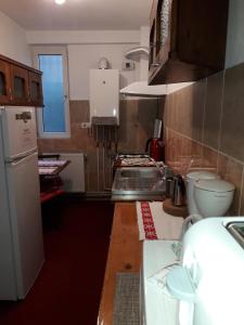 uma pequena cozinha com um balcão e um frigorífico em Tudor View em Sinaia