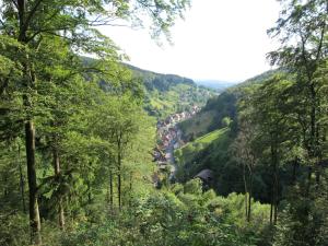 a view of a valley with a river and trees at Hexenstieg House Lerbach in Osterode