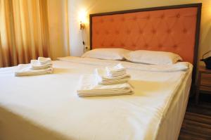 Postel nebo postele na pokoji v ubytování City Blagoevgrad Family Hotel