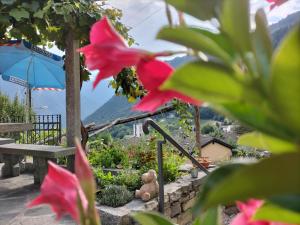 a view of a garden with a bench and an umbrella at Da Erminia in Verdabbio